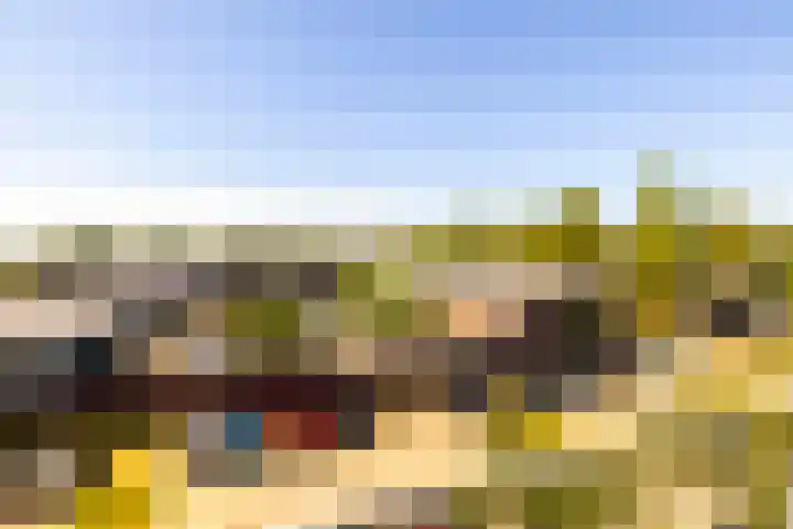 Anjelierlaan 24 2 Ede thumbnail 29