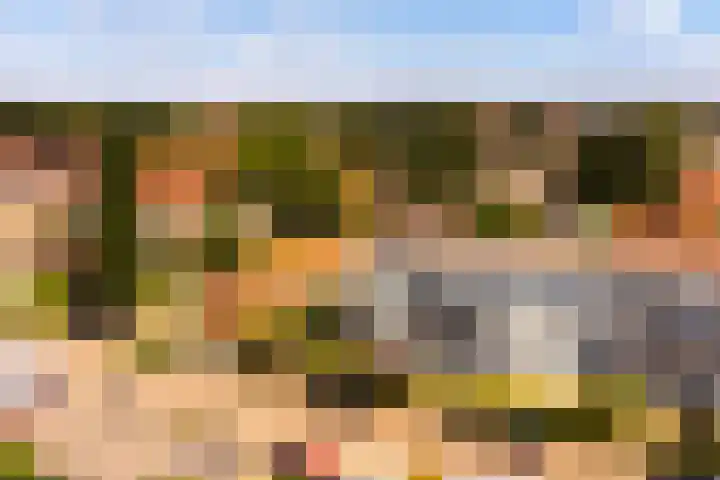 Anjelierlaan 24 2 Ede thumbnail 31