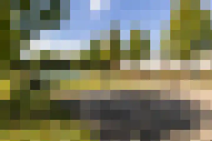 Anjelierlaan 24 2 Ede thumbnail 34