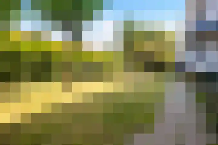 Anjelierlaan 24 2 Ede thumbnail 35