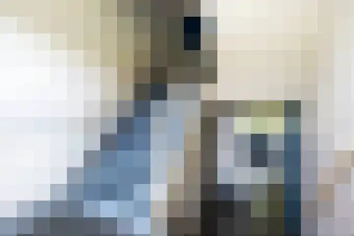 Anjelierlaan 24 2 Ede thumbnail 4