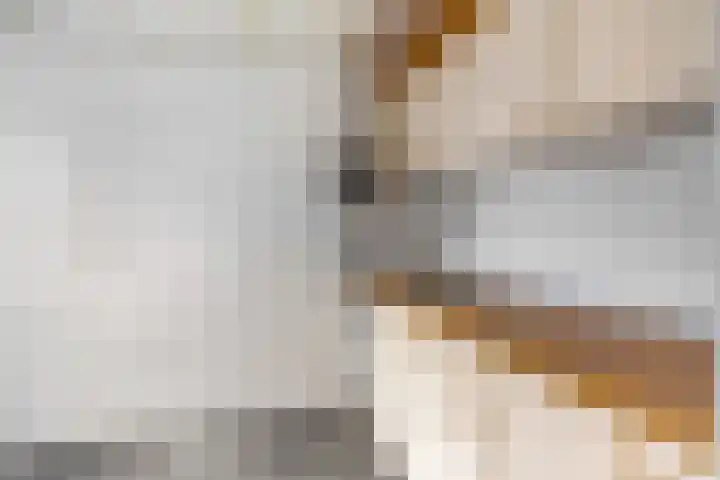 Anjelierlaan 3 Ede thumbnail 13