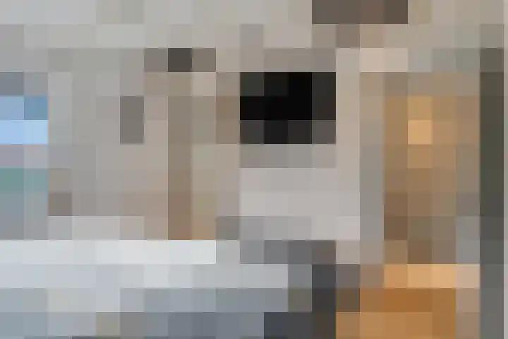 Anjelierlaan 3 Ede thumbnail 20