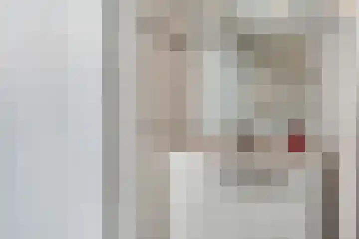 Anjelierlaan 3 Ede thumbnail 24