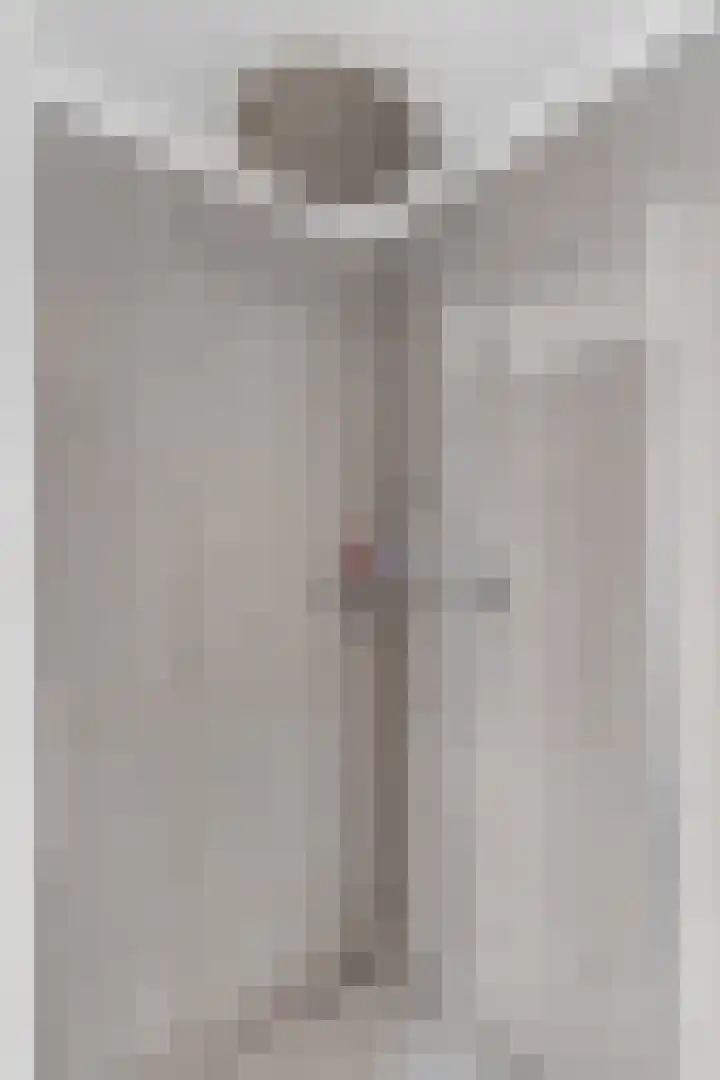 Anjelierlaan 3 Ede thumbnail 27