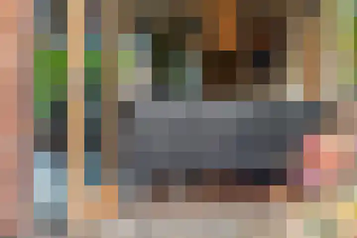 Anjelierlaan 3 Ede thumbnail 31