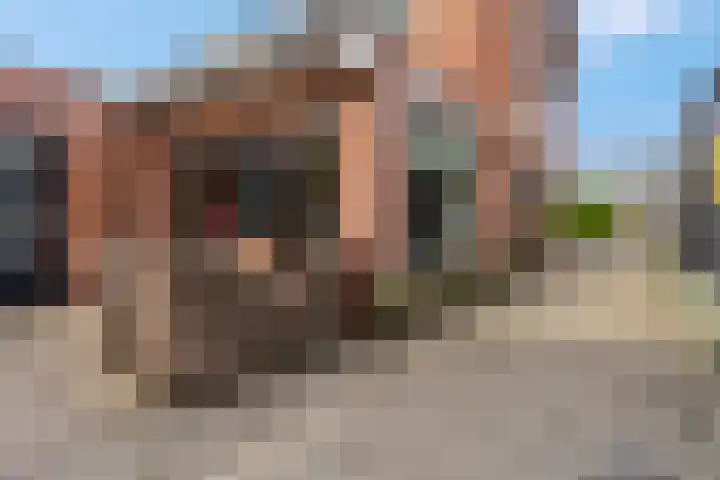 Anjelierlaan 3 Ede thumbnail 33