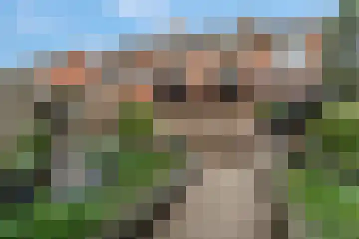 Anjelierlaan 3 Ede thumbnail 35