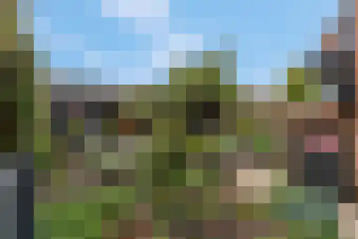 Anjelierlaan 3 Ede thumbnail 36