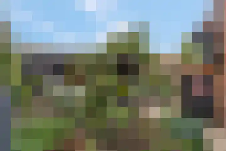 Anjelierlaan 3 Ede thumbnail 37