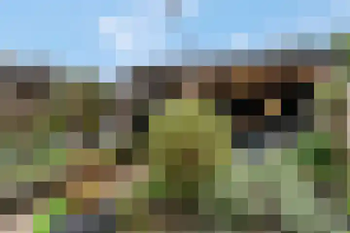 Anjelierlaan 3 Ede thumbnail 38