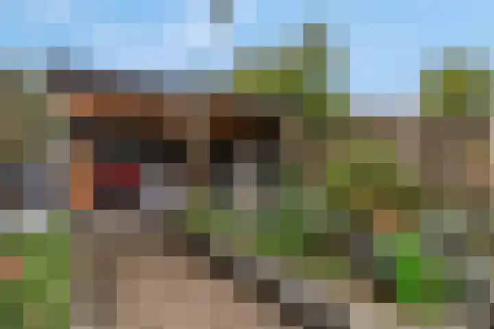 Anjelierlaan 3 Ede thumbnail 39