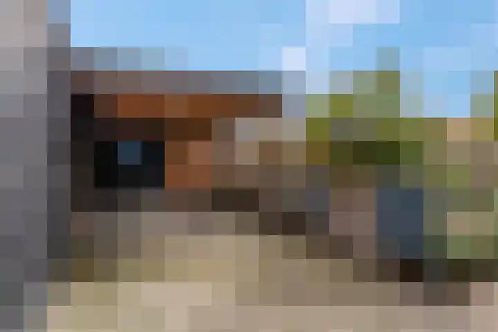 Anjelierlaan 3 Ede thumbnail 42