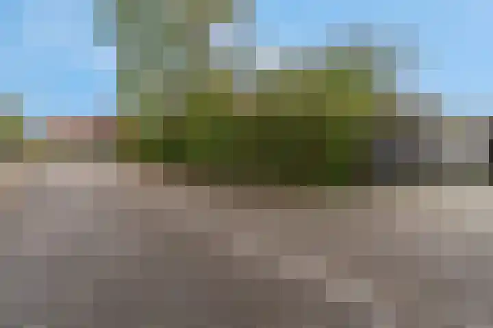 Anjelierlaan 3 Ede thumbnail 55