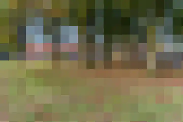 Anjelierlaan 3 Ede thumbnail 56