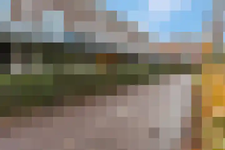 Anjelierlaan 3 Ede thumbnail 58