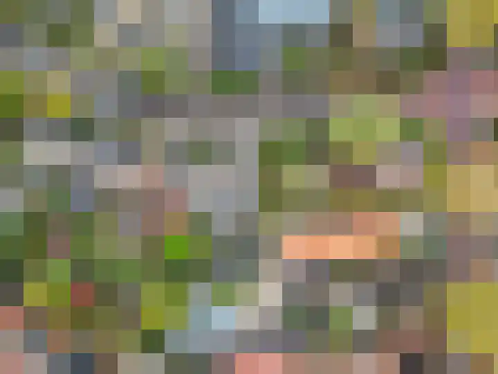 Anjelierlaan 3 Ede thumbnail 67