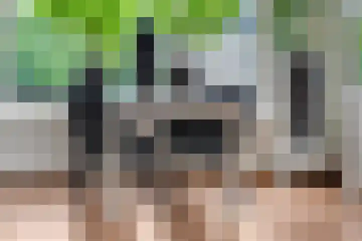 Anjelierlaan 3 Ede thumbnail 7