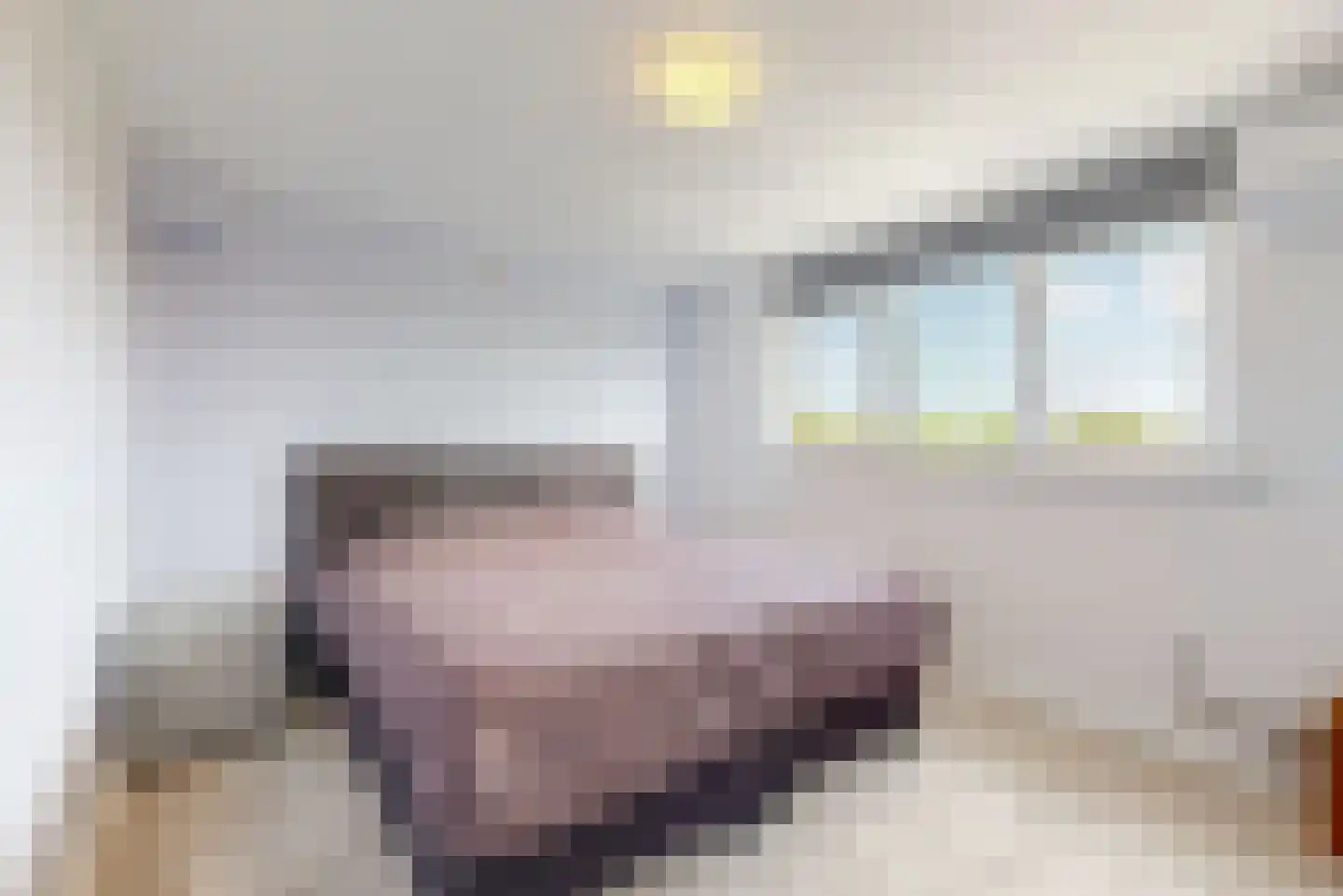 Anjelierlaan 33 Lutjebroek thumbnail 12