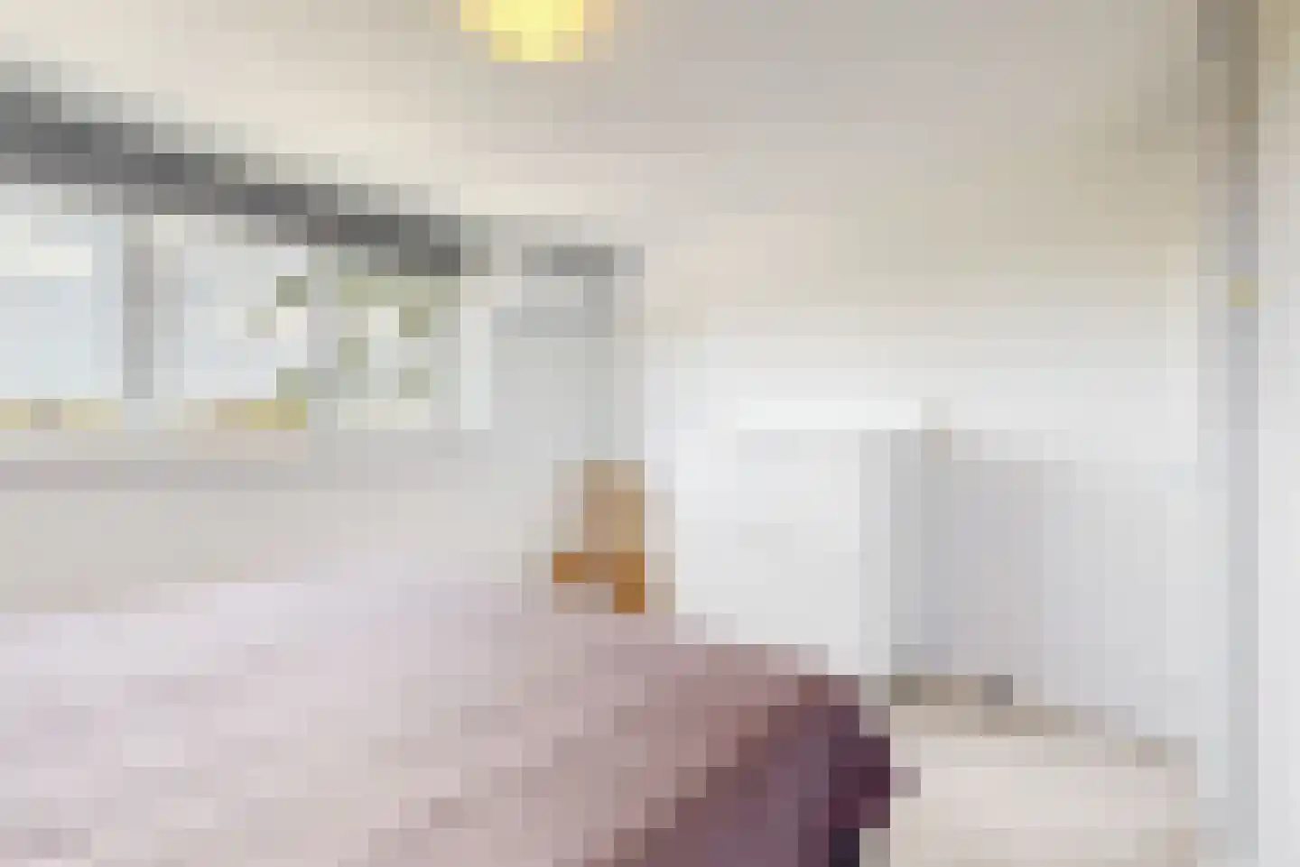 Anjelierlaan 33 Lutjebroek thumbnail 13