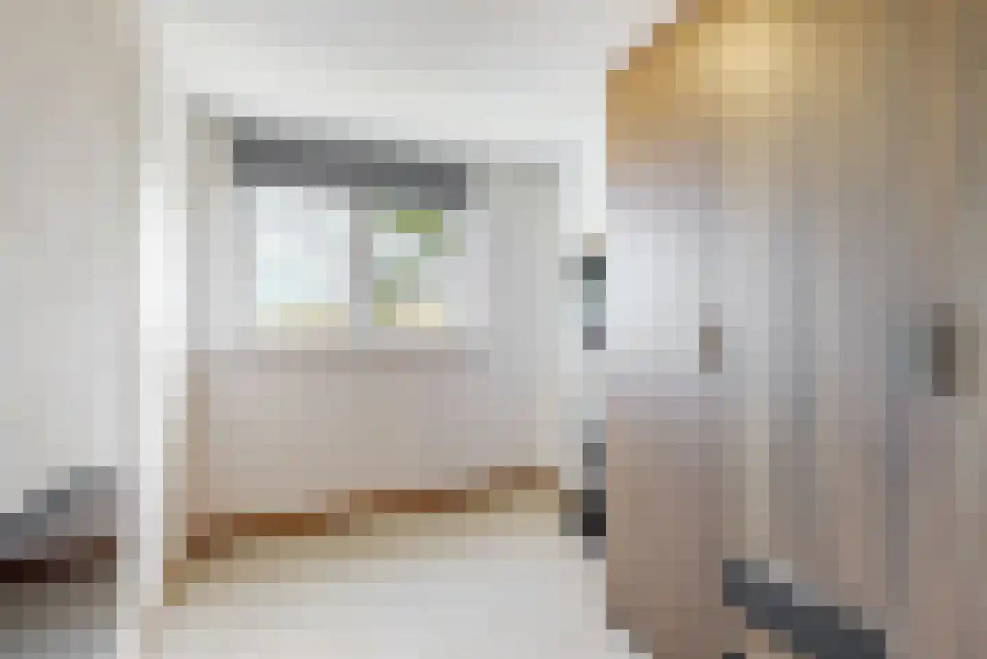 Anjelierlaan 33 Lutjebroek thumbnail 14
