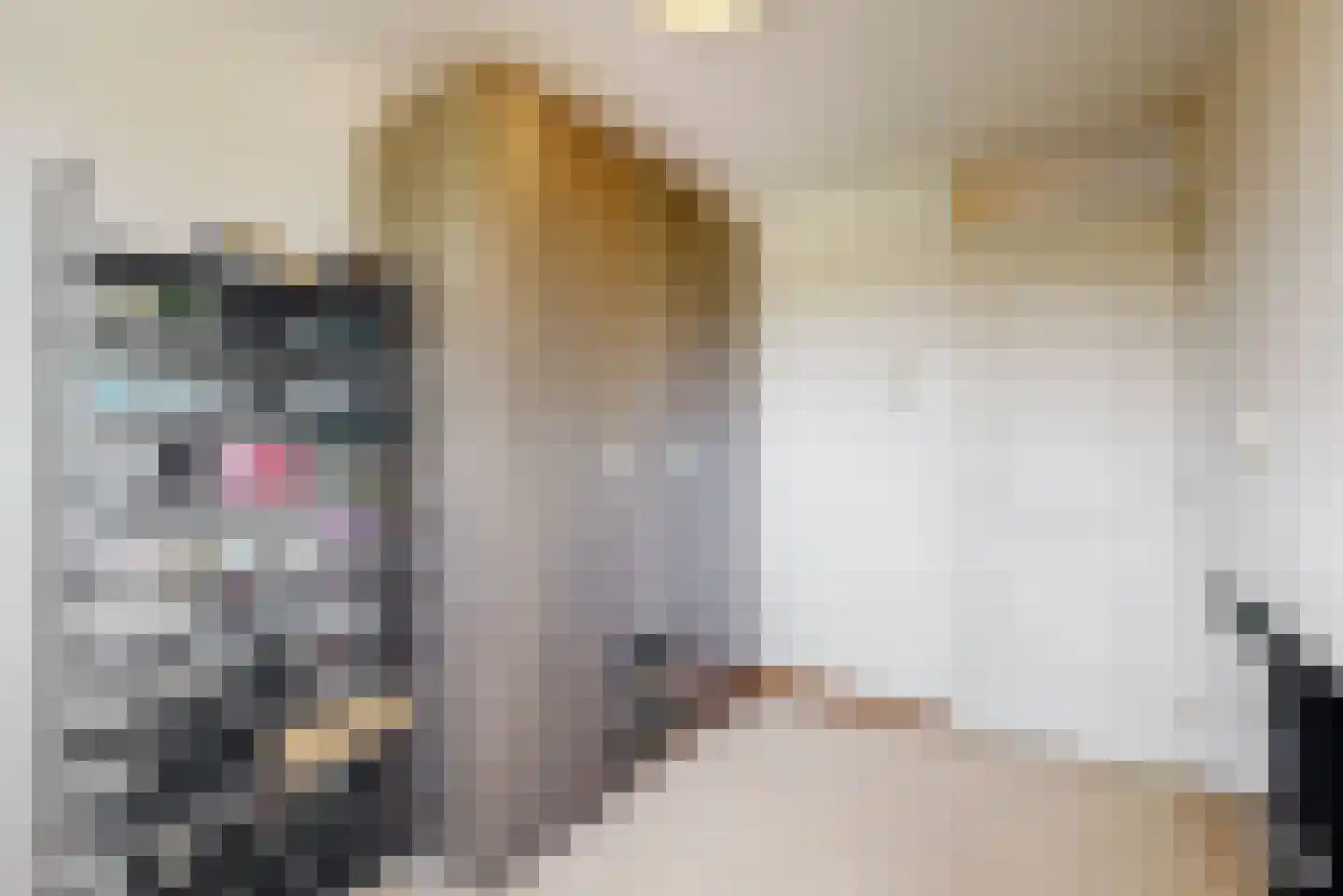 Anjelierlaan 33 Lutjebroek thumbnail 15