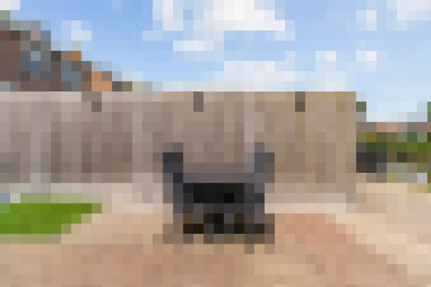 Anjelierlaan 33 Lutjebroek thumbnail 31