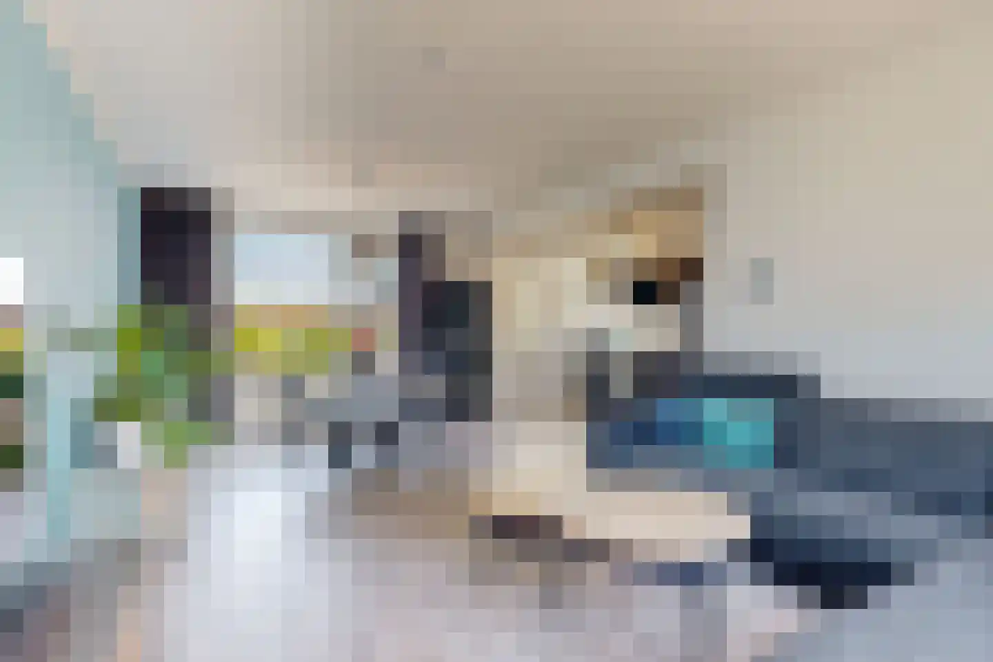 Anjelierlaan 33 Lutjebroek thumbnail 6