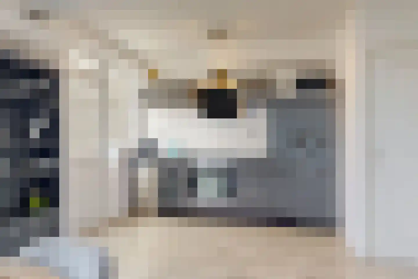 Anjelierlaan 33 Lutjebroek thumbnail 7