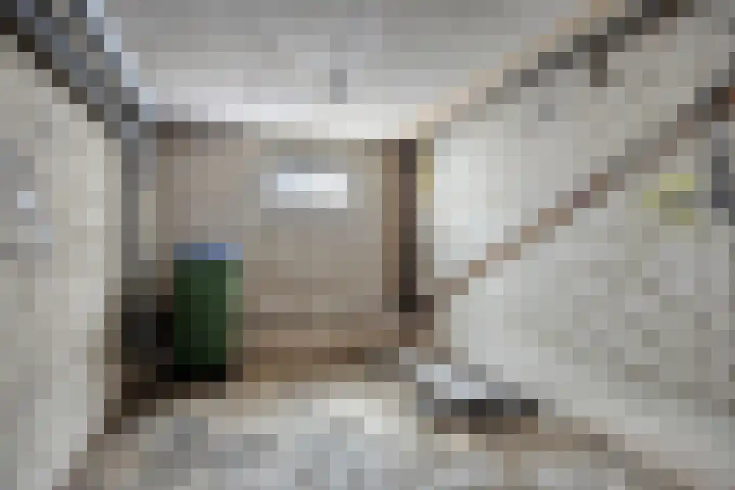Anjelierlaan 48 1 Ede thumbnail 18