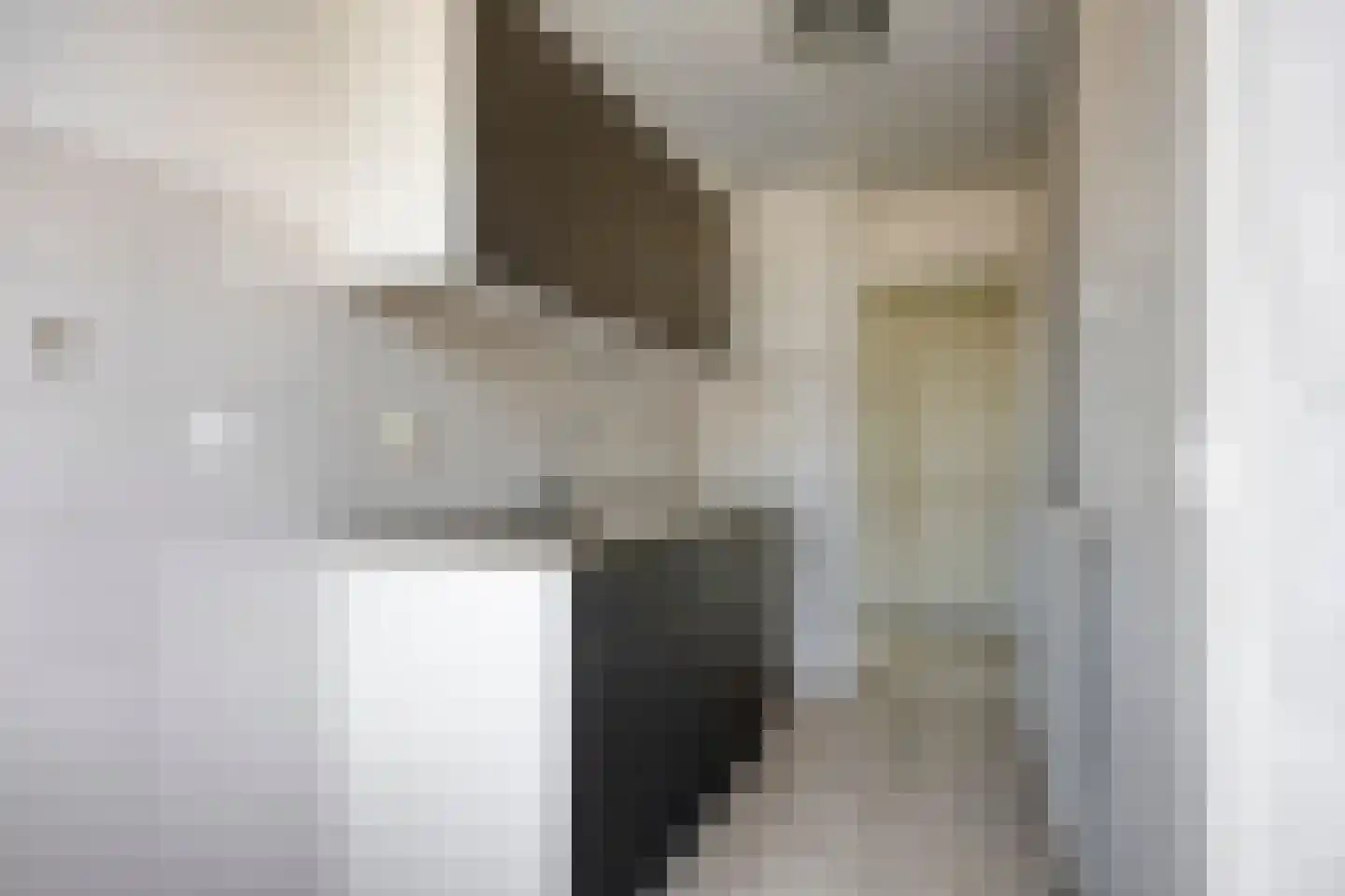 Anjelierlaan 48 1 Ede thumbnail 8