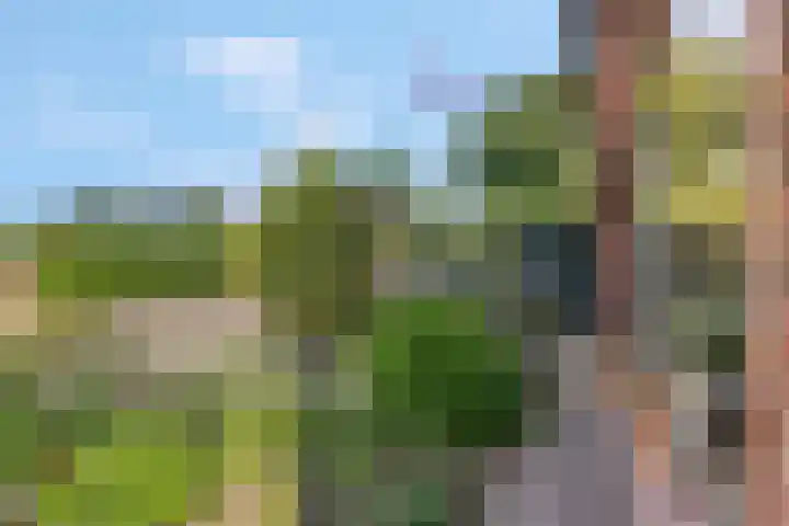 Anjelierlaan 5 Ede thumbnail 29