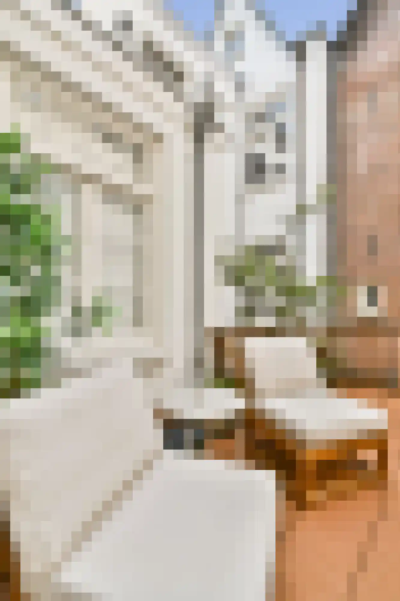Anjeliersstraat 145 1 Amsterdam thumbnail 14