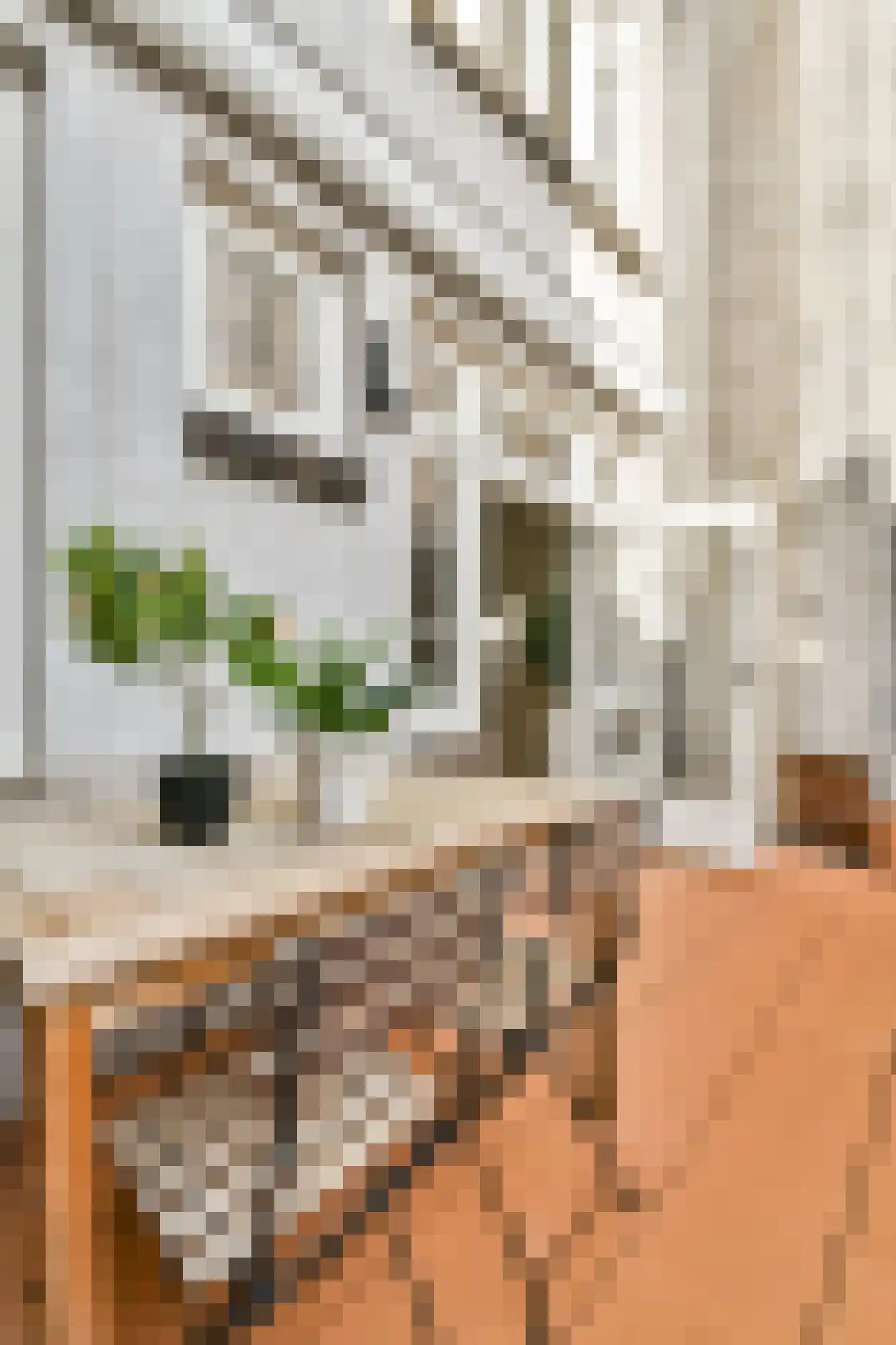 Anjeliersstraat 145 1 Amsterdam thumbnail 15