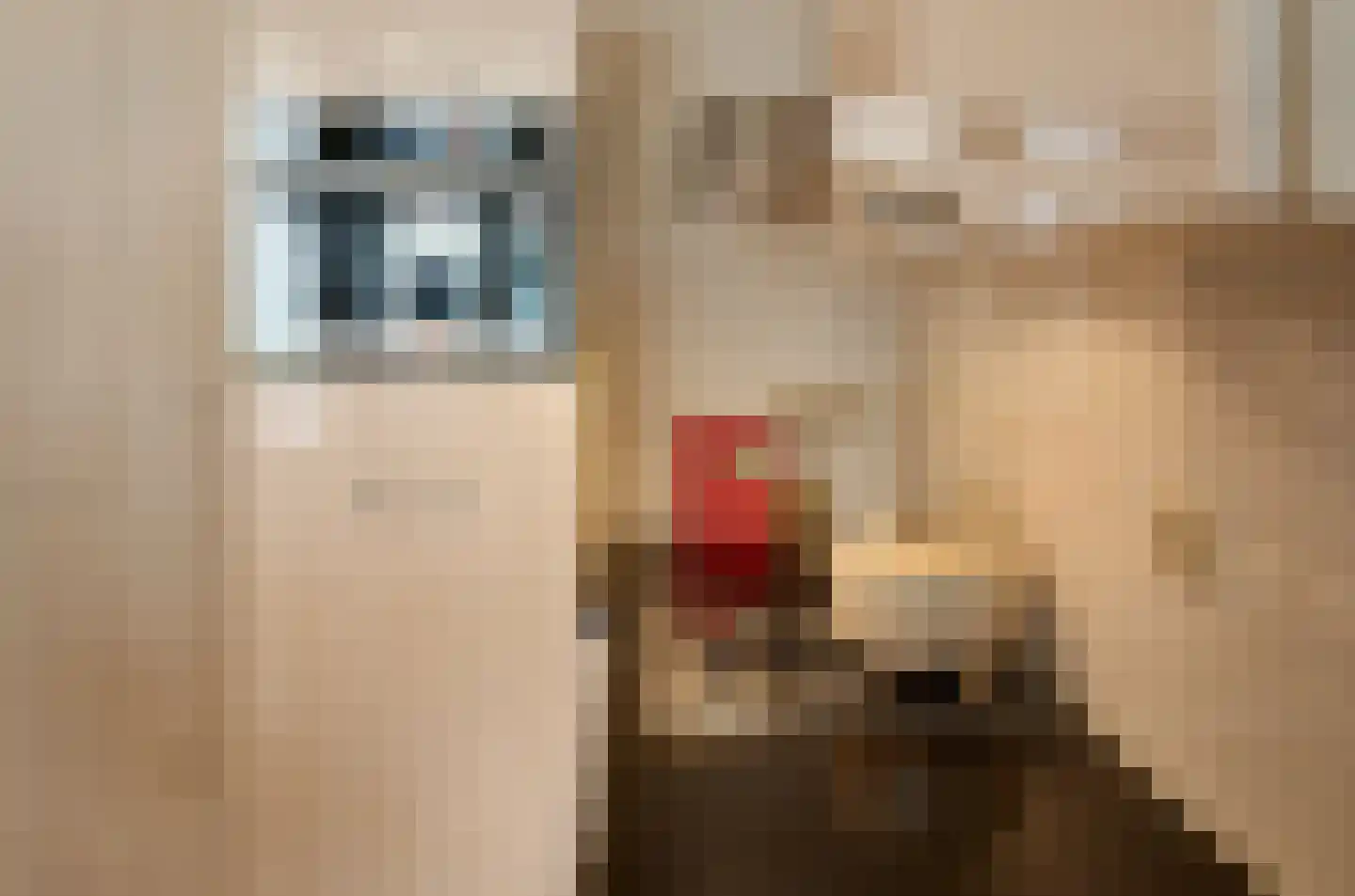 Anjeliersstraat 39 Amsterdam thumbnail 6