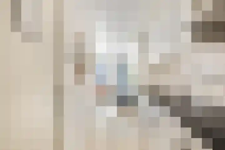 Anjeliersstraat 400 Amsterdam thumbnail 10