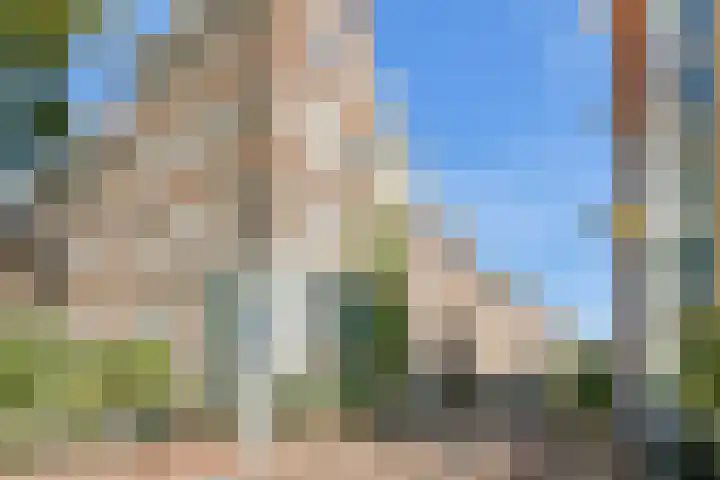 Anjeliersstraat 400 Amsterdam thumbnail 4