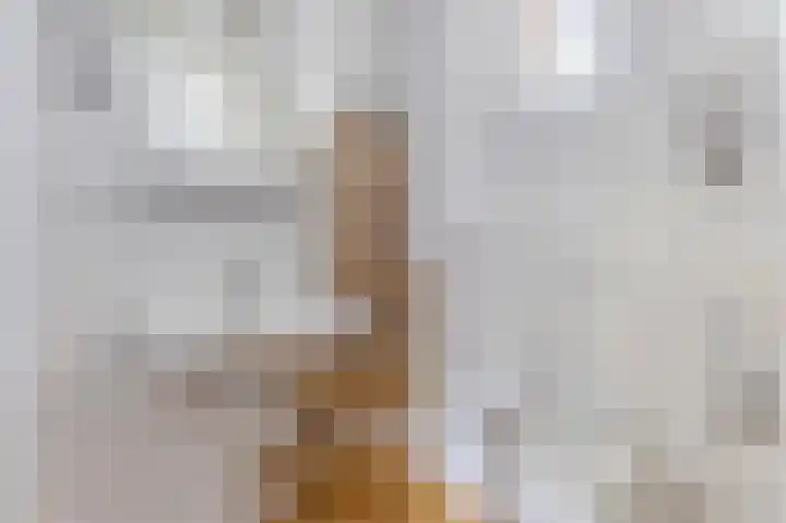 Anjeliersstraat 420 Amsterdam thumbnail 22
