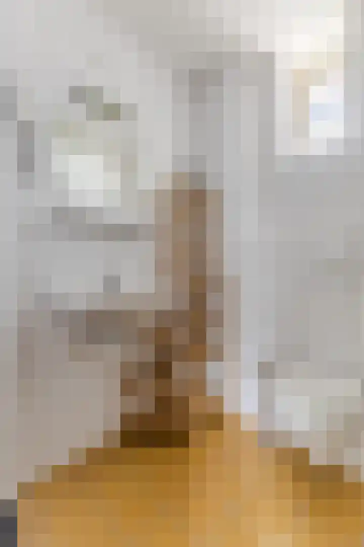 Anjeliersstraat 420 Amsterdam thumbnail 25