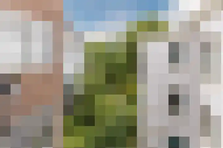 Anjeliersstraat 420 Amsterdam thumbnail 30