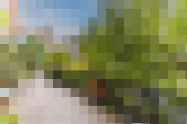Anjeliersstraat 420 Amsterdam thumbnail 33