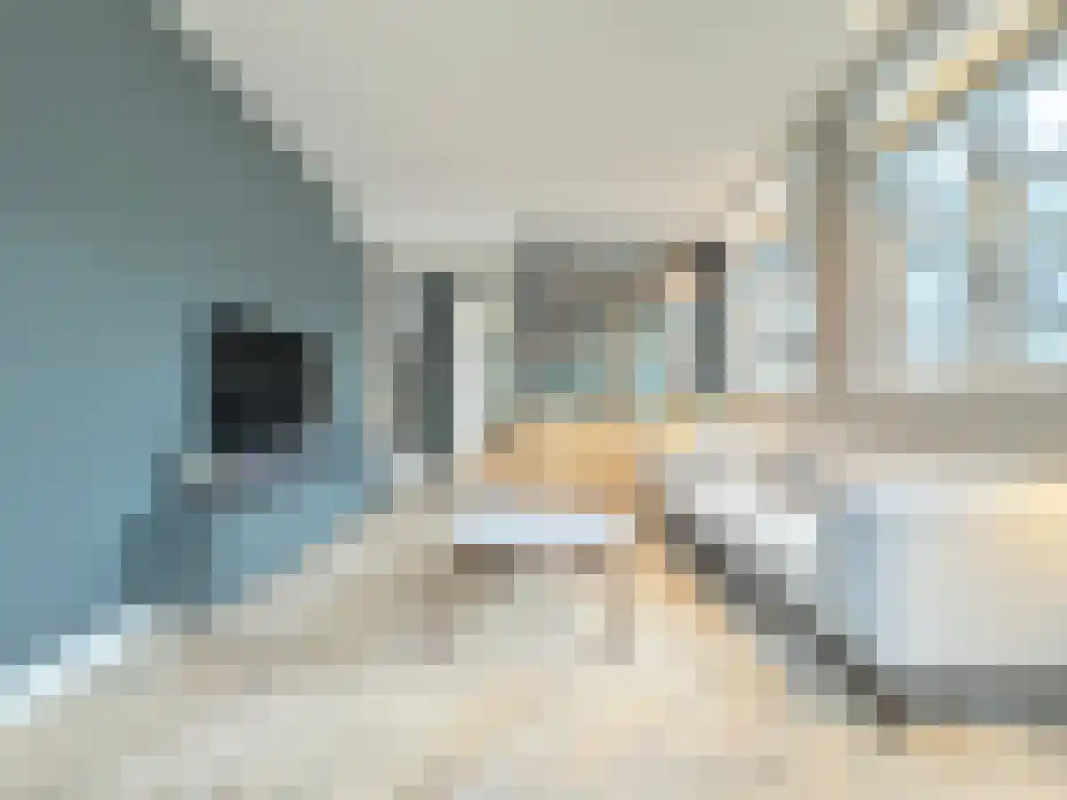 Anjeliersstraat 470 in Amsterdam