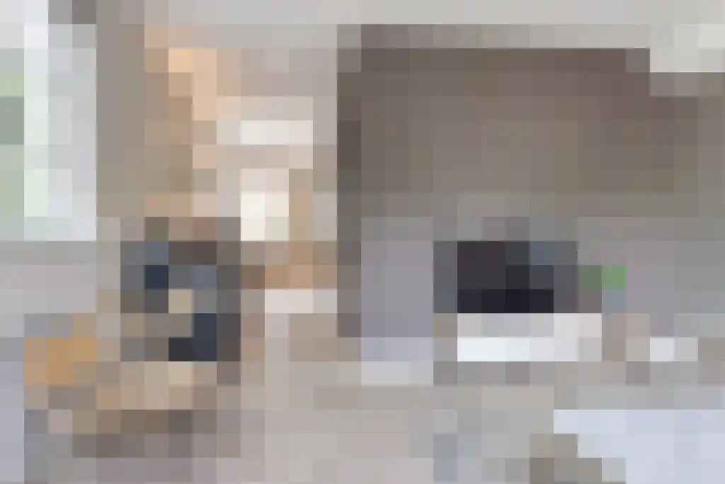 Anjeliersstraat 470 B Amsterdam thumbnail 5