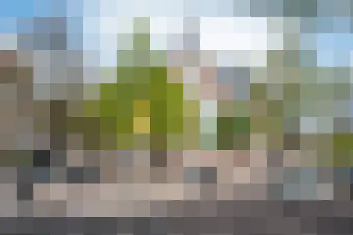 Anjeliersstraat 49 Amsterdam thumbnail 37