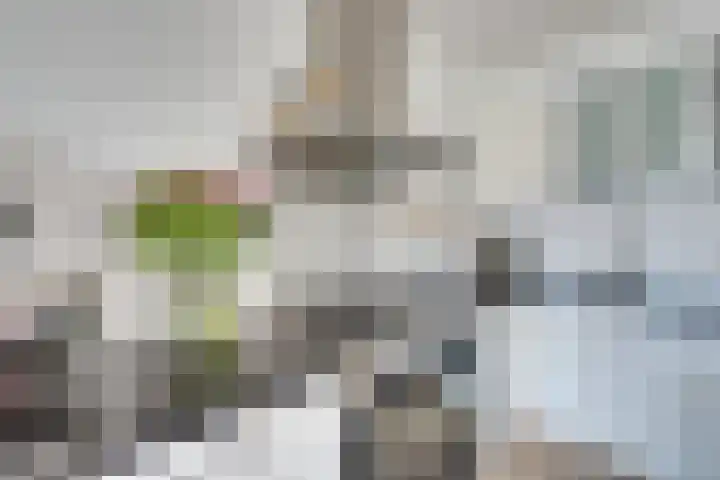 Anjeliersstraat 49 Amsterdam thumbnail 4
