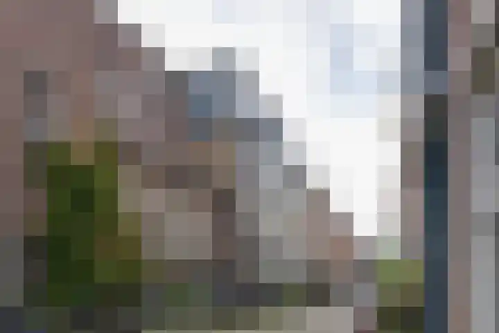 Anjeliersstraat 49 Amsterdam thumbnail 6