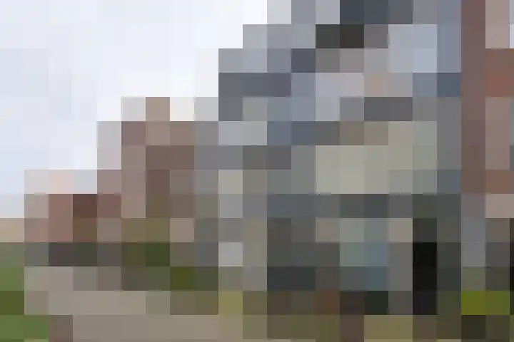 Anjeliersstraat 49 Amsterdam thumbnail 7