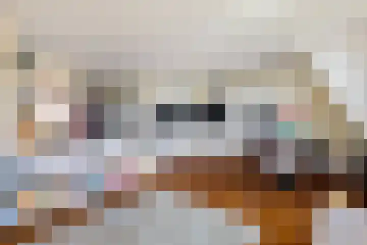 Anjeliersstraat 91 G Amsterdam thumbnail 5