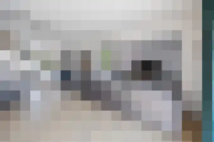 Anjelierstraat 1 Beuningen Gld thumbnail 18