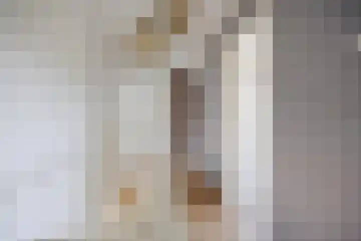 Anjelierstraat 1 Beuningen Gld thumbnail 22